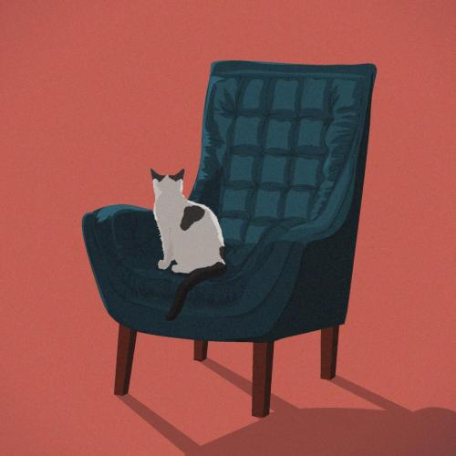 Cat in Chair no 1